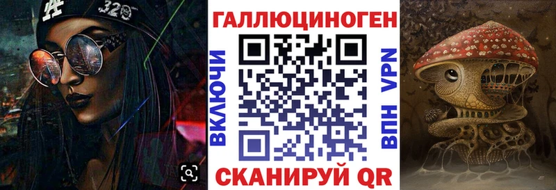 Псилоцибиновые грибы Psilocybe  Купить закладки  Гусиноозёрск 